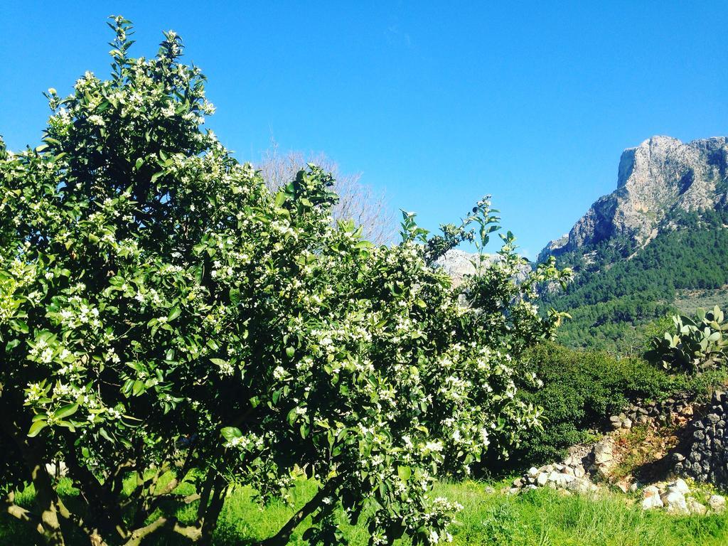 Finca Cas Sant Sóller Extérieur photo