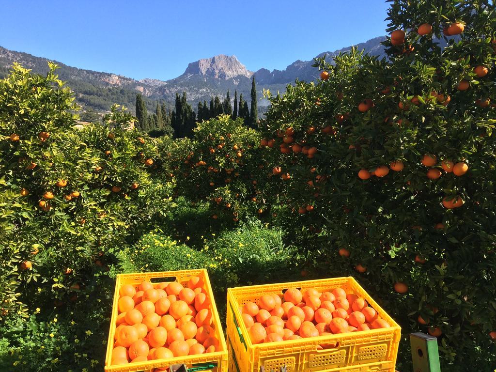 Finca Cas Sant Sóller Extérieur photo