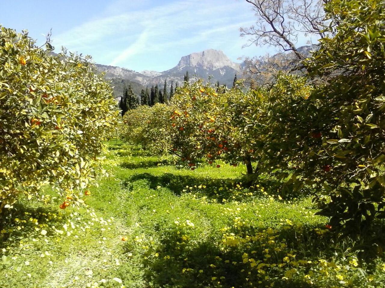 Finca Cas Sant Sóller Extérieur photo